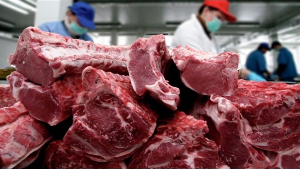 Neme: “podemos producir carne porcina con el mejor estándar sanitario”