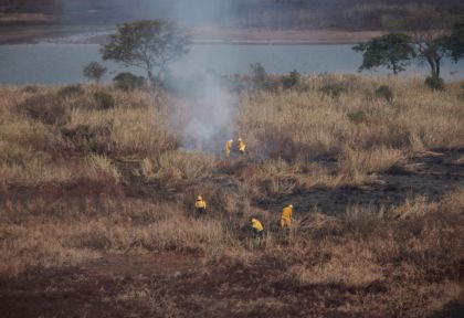 Los Defensores del Pueblo fueron a la Corte por los incendios en el Delta del Paraná