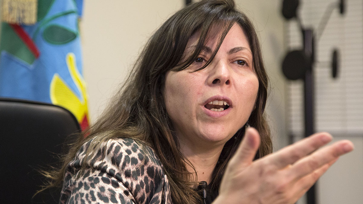 Silvina Batakis: “La medida presidencial viene a traer equilibrio”