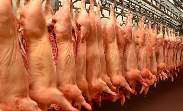 Argentina exportará carne de cerdo a los Emiratos Árabes Unidos