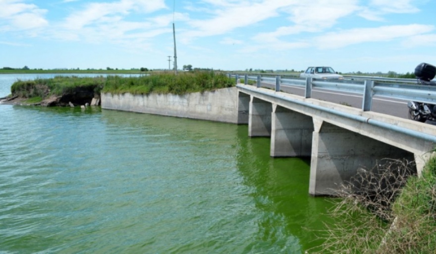 Alertan por riesgo de intoxicación con cianobacterias en la Laguna de Gómez en Junín