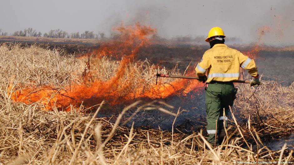 Se registran focos de incendios forestales activos en Entre Ríos y Buenos AIres