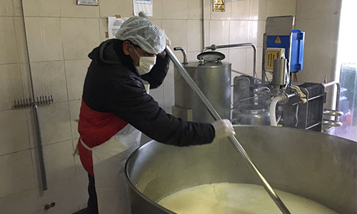 Penitenciarios y privados de libertad inician curso de capacitación en producción de quesos