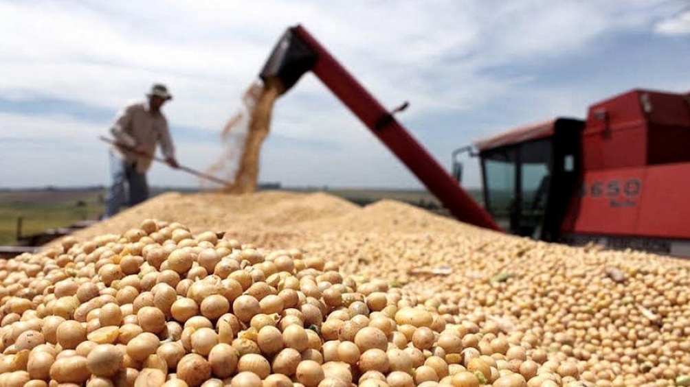 La Sociedad Rural de Rosario denunció “enriquecimiento incausado de exportadores de granos”