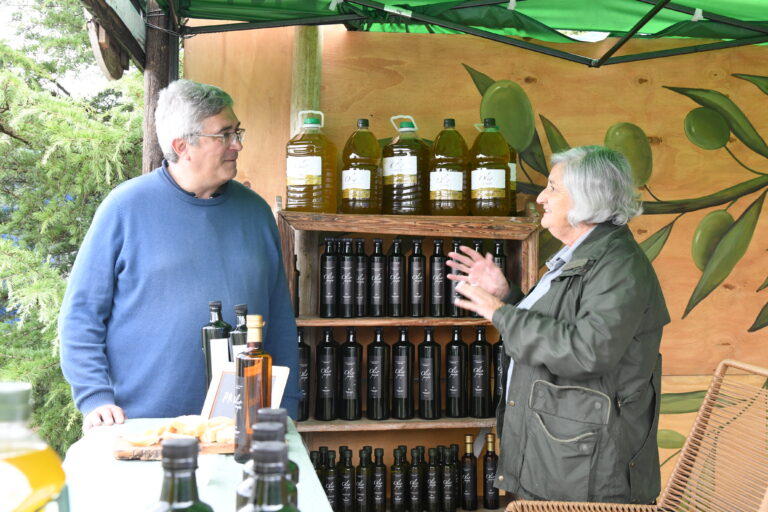 Dorrego Fiesta Olivo (3)