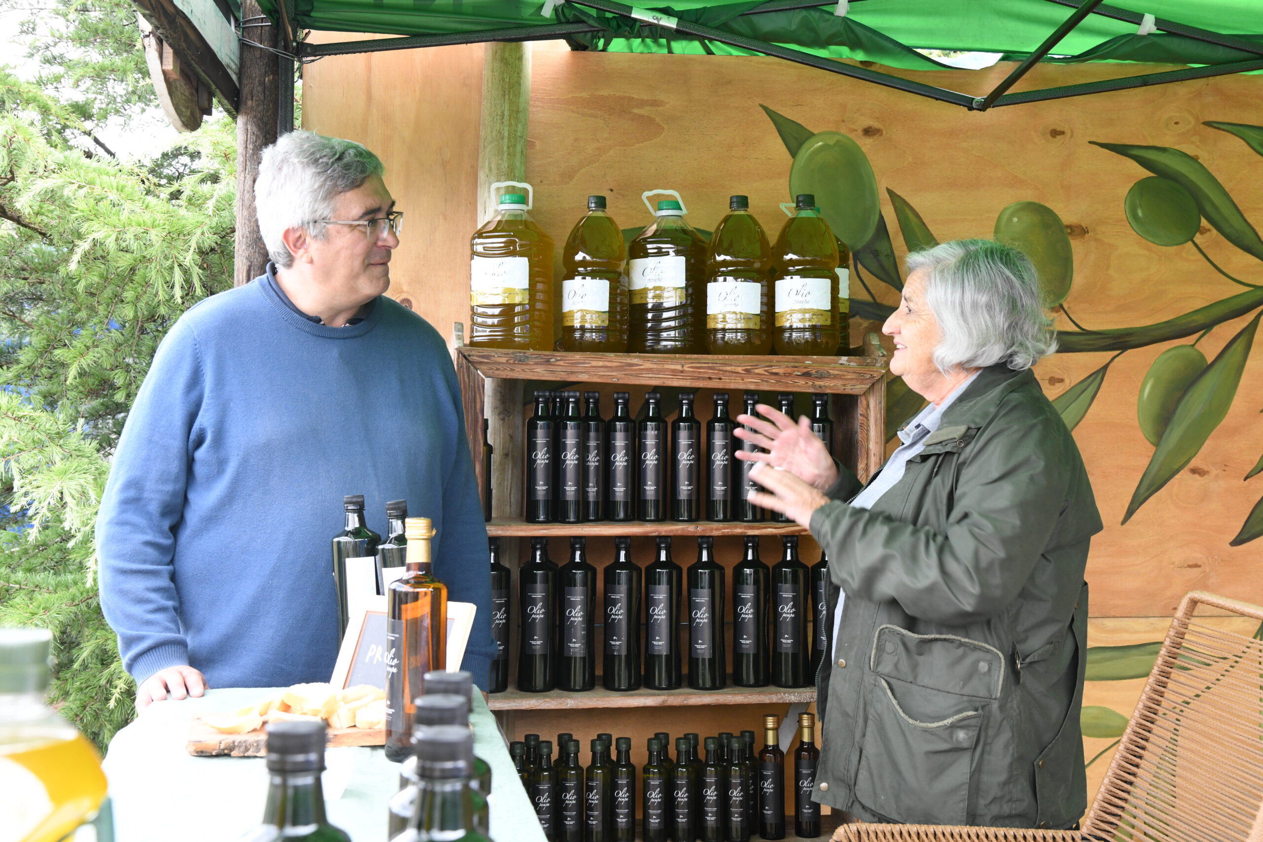 Dorrego Fiesta Olivo (3)