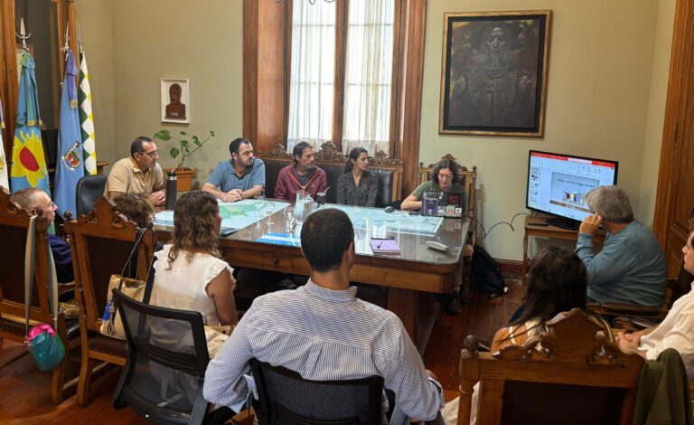 Reunión murciélagos 1