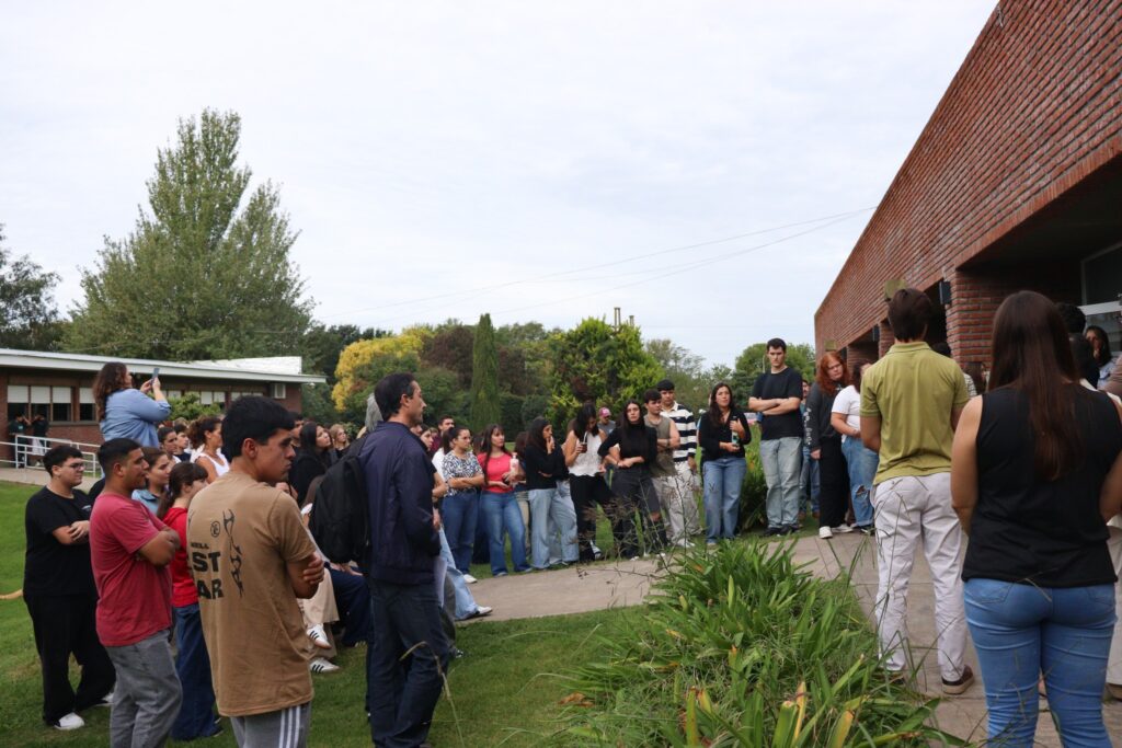 derecho272