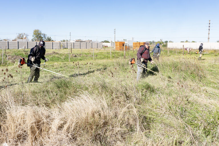 trabajos en Chacras de Bruno 05(foto Lucas Tedesco)