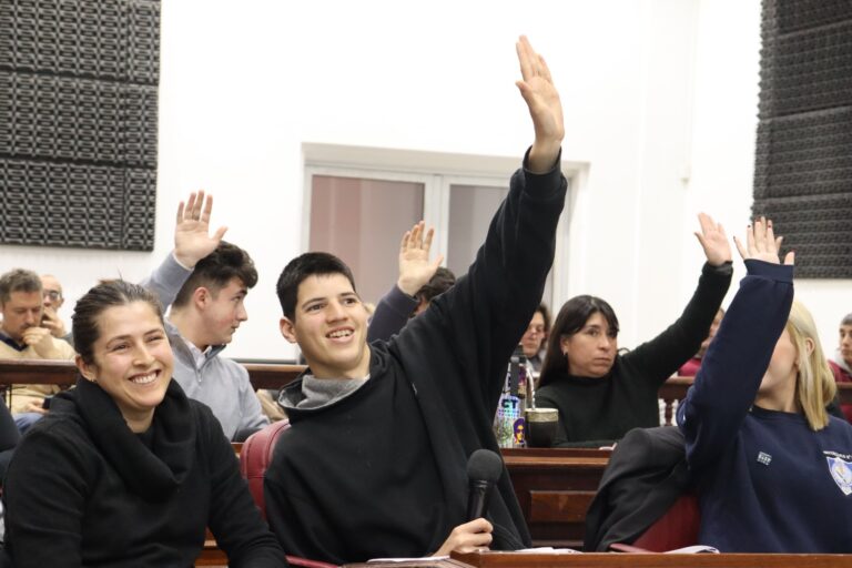 estudiantes concejo
